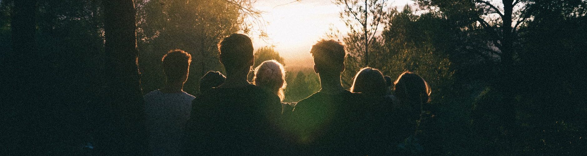 silhouette of group of people between tree line
