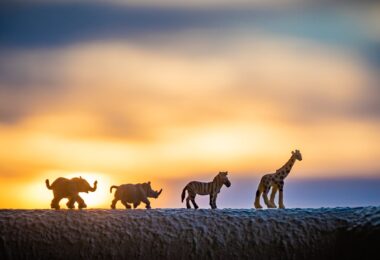 close up photo of miniature toys