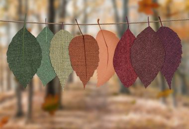 leaves hang on rope