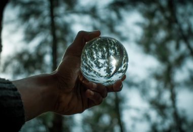 crop man holding glass ball against forest trees