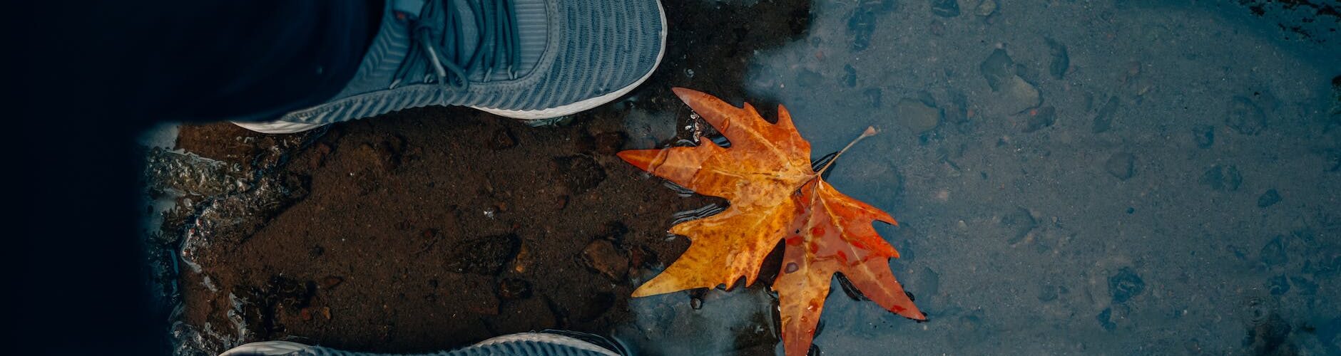 sneakers near a fallen maple leaf