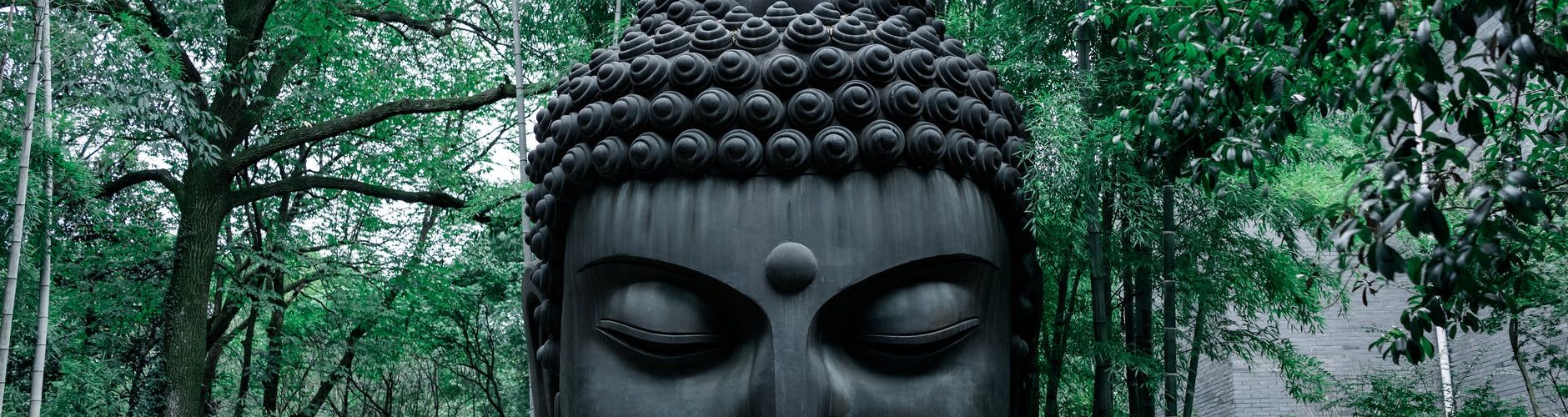 black human face statue near green trees