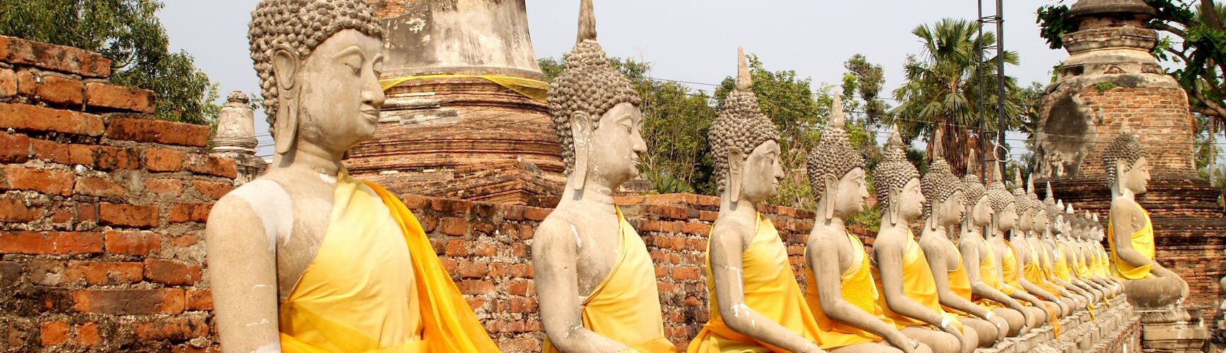line of buddha statues