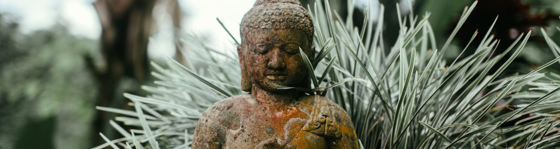 close up of the buddha statue