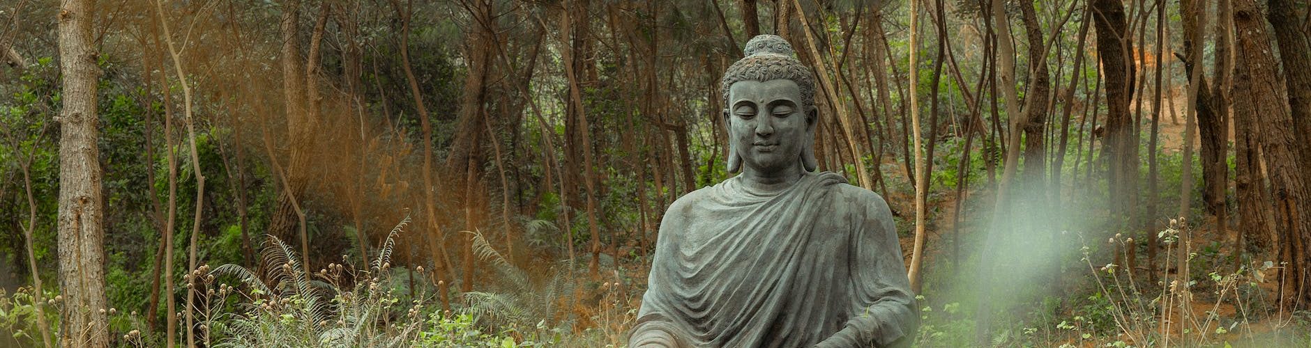 meditating buddha stature in nature