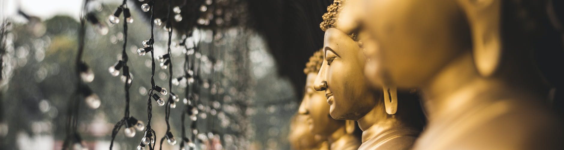 string lights hanging near a golden buddha