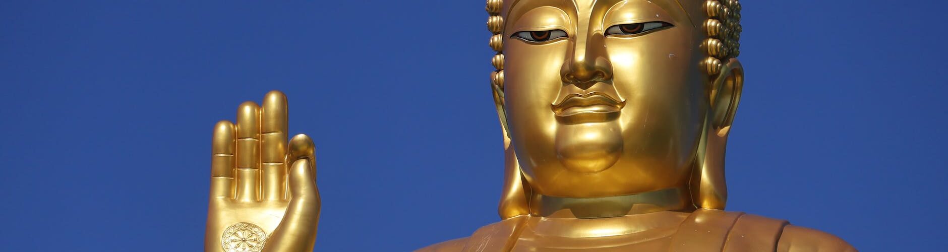 buddha statue in close up shot