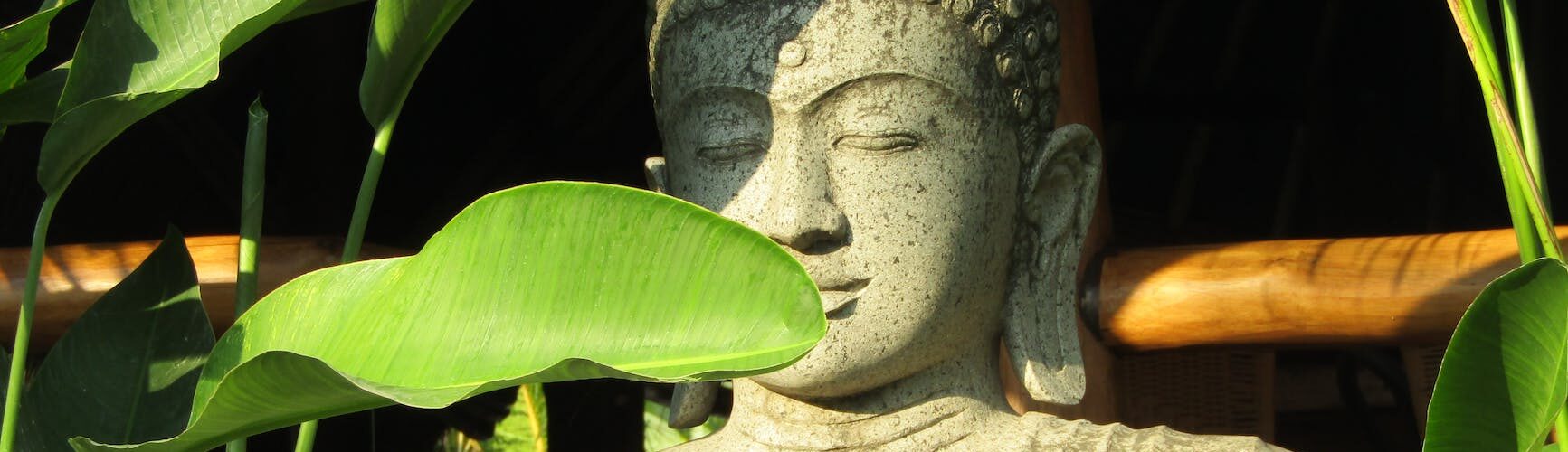 gray concrete statue near the green plant
