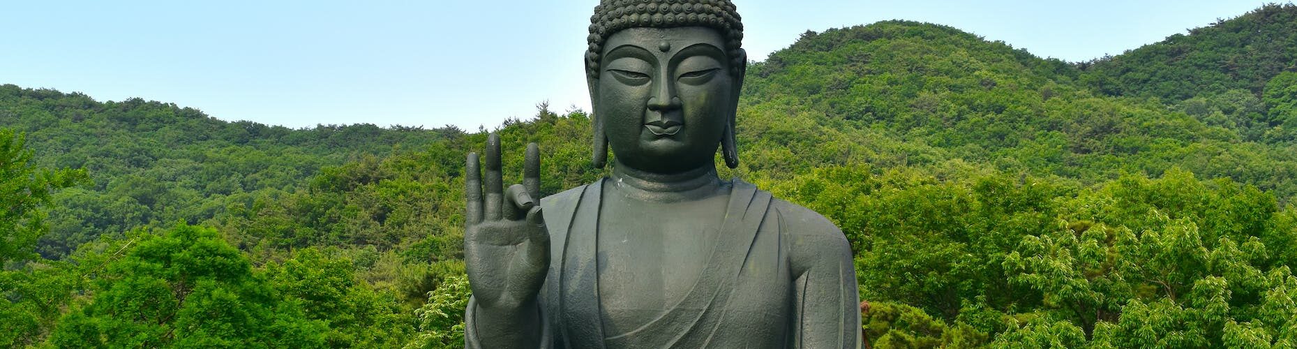 a giant buddha statue in gakwonsa temple in south korea