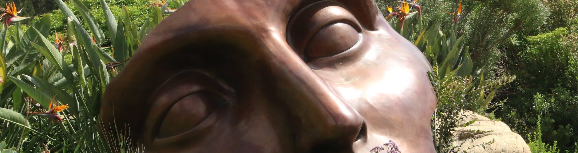 brown man face figurine