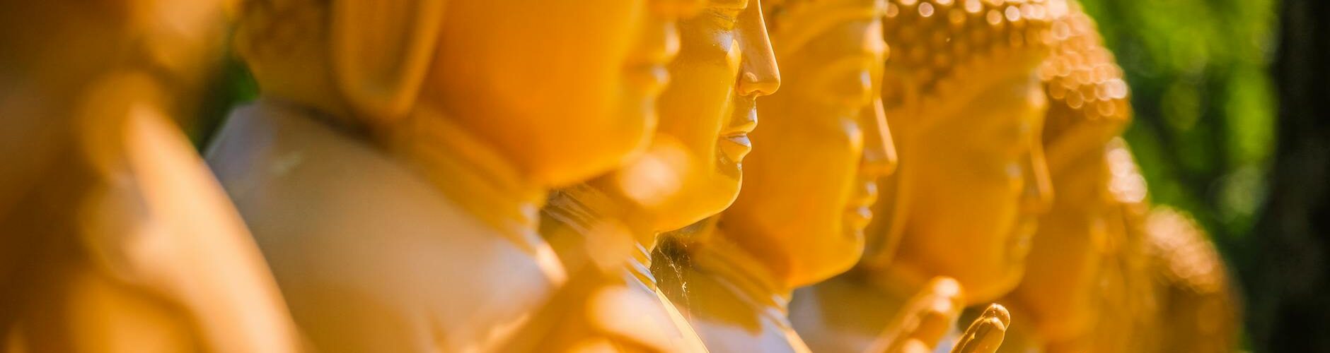 photo of a row of buddha sculptures