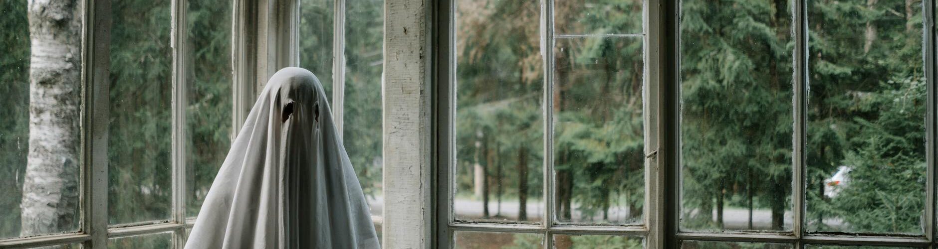 person in ghost costume standing beside windows