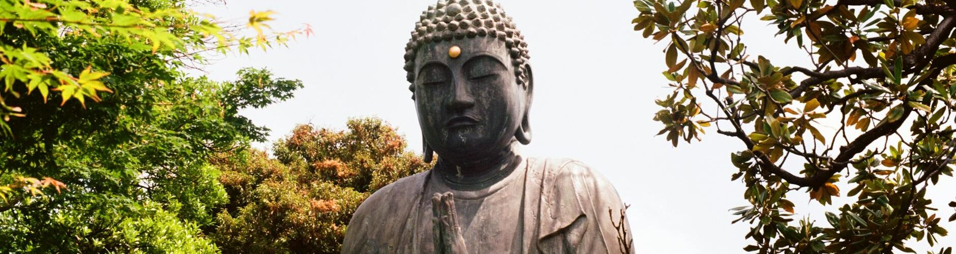 a statue of buddha