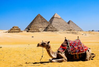 a camel lying in the ground on the background of pyramids