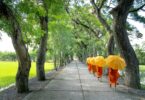 monks holding umbrella walking on pathway