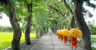 monks holding umbrella walking on pathway