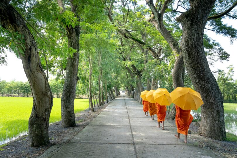monks holding umbrella walking on pathway